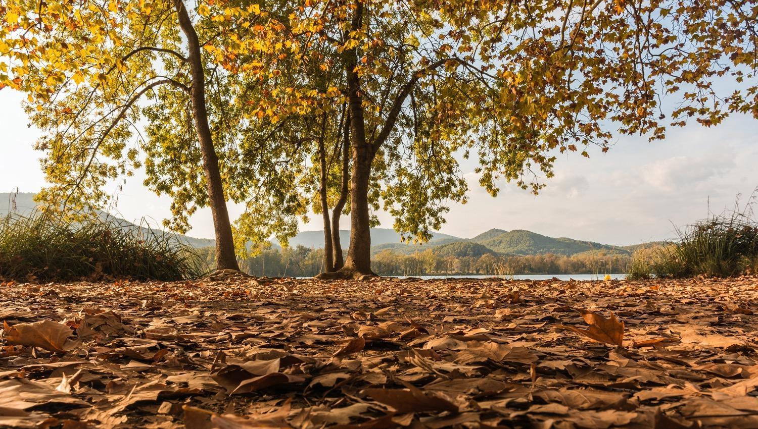 Camping Bungalow El Llac De Banyoles Porqueres Exteriér fotografie